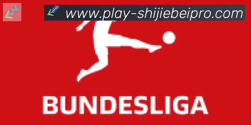 FIFA世界杯买球入口合作伙伴
