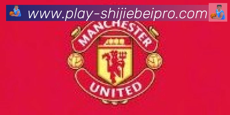 FIFA世界杯买球入口合作伙伴