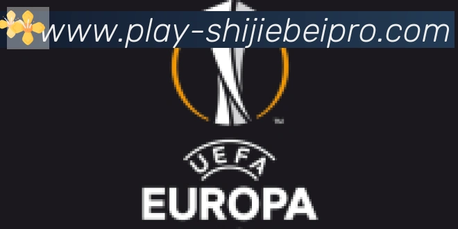 FIFA世界杯买球入口合作伙伴